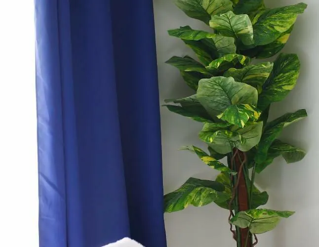 Violetta I 2 Min Walk From The Apartment Birzebbuga